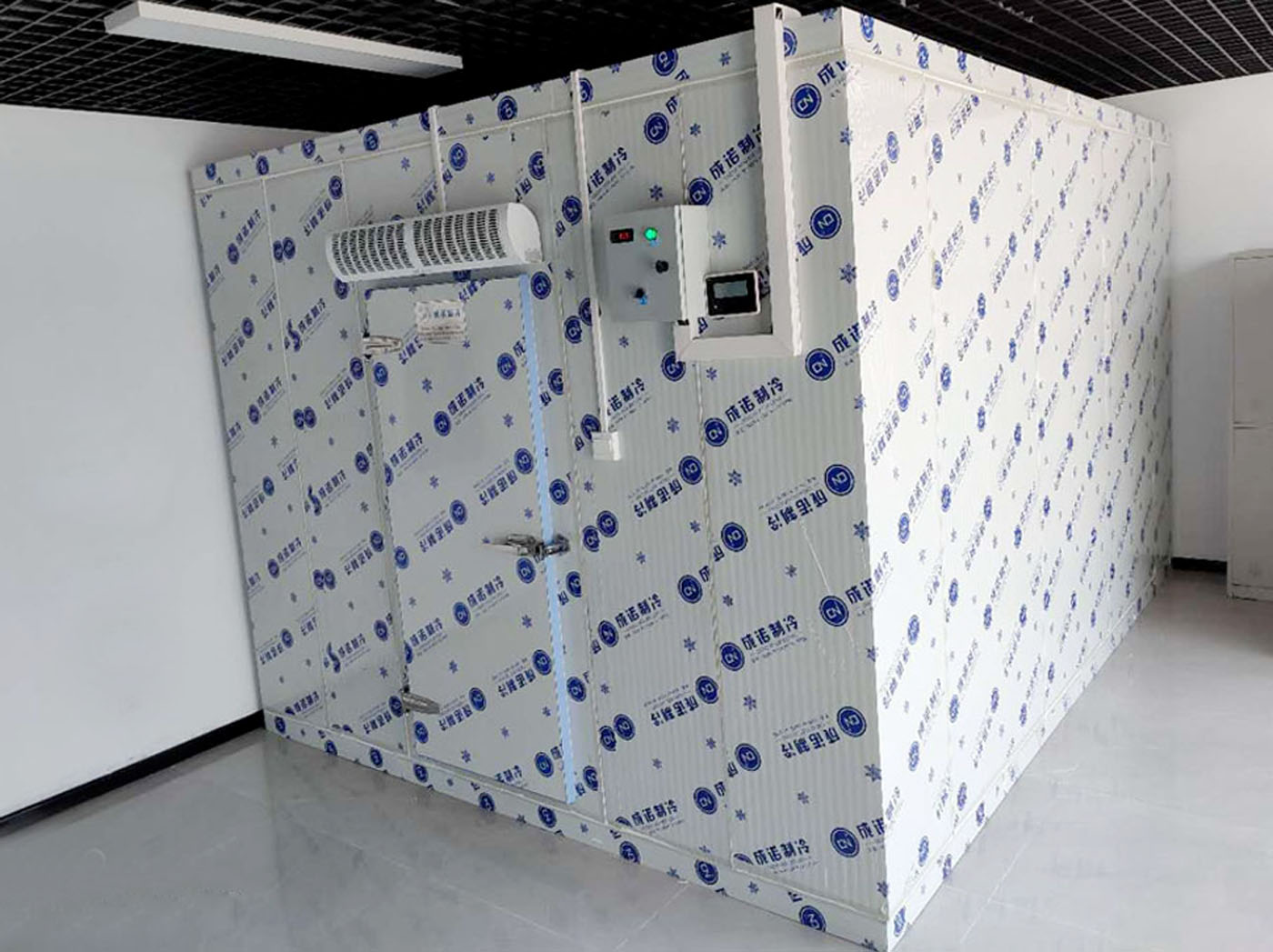 �Ä��t�������